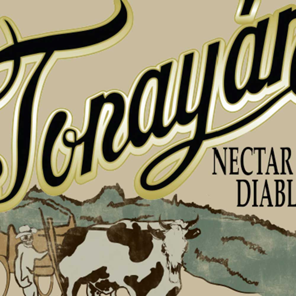 Playera Tonayan